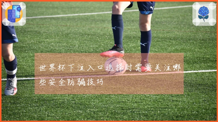 世界杯下注入口选择时需要关注哪些安全防骗技巧